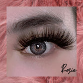 Rosie - Lashpire
